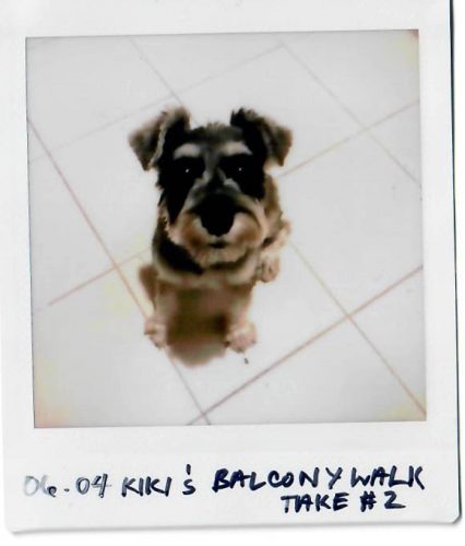 One Square A Day: Two Weeks of Life Captured on the Fujifilm Instax Square SQ20